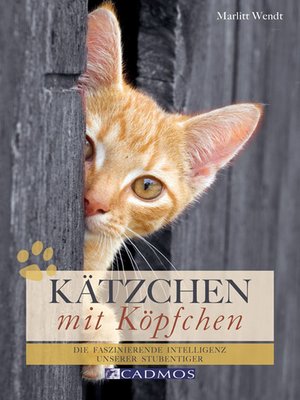 cover image of Kätzchen mit Köpfchen